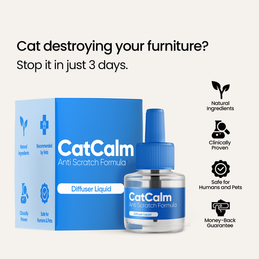CatCalm Anti Scratch Formula