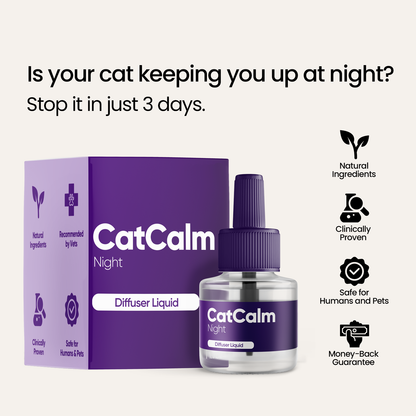 CatCalm Night