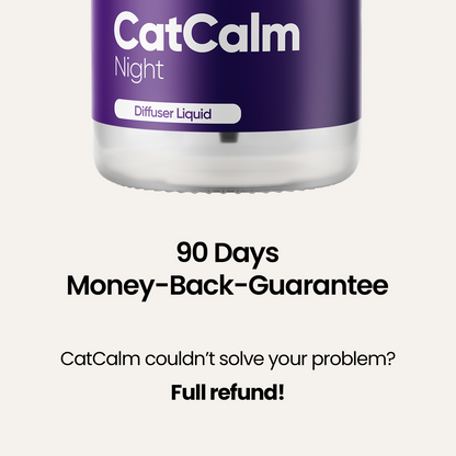 CatCalm Night